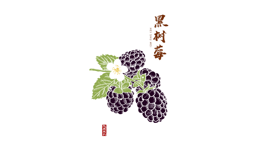 树莓 手绘树莓  中国风 版画风 水果