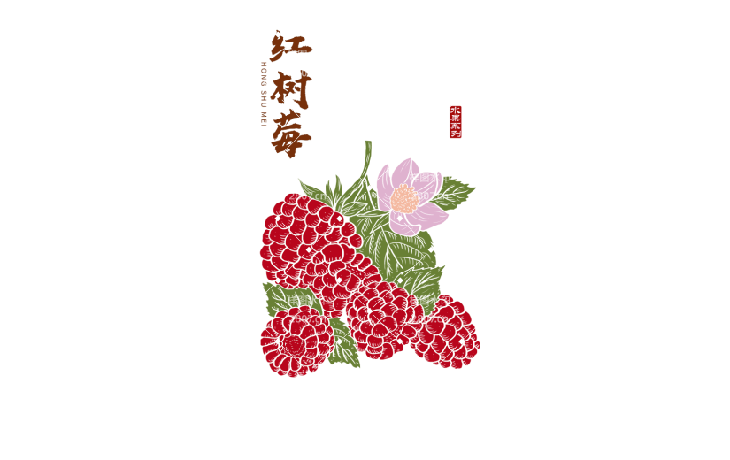 红树莓 手绘树莓  中国风 版画风 水果
