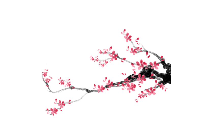 中国花梅花红梅腊梅