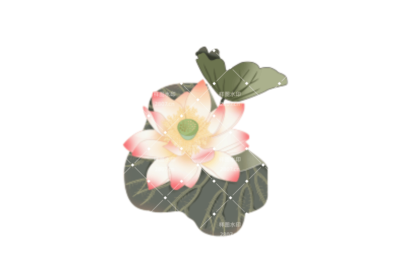 工笔国画荷花元素