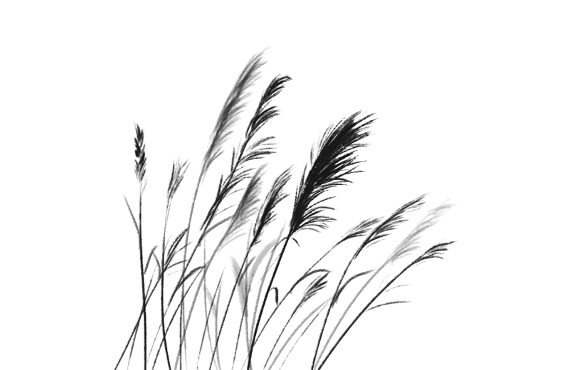 中国风水墨芦苇植物贴纸6