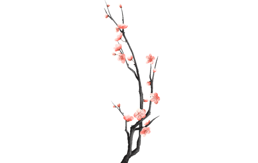 中国风梅花