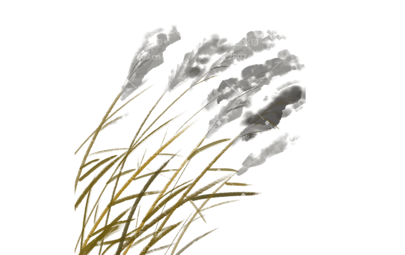 中国风水墨芦苇植物贴纸3