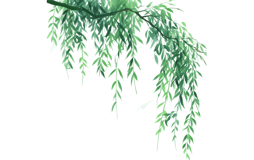 春天春季春日清新水墨风插画柳叶元素素材