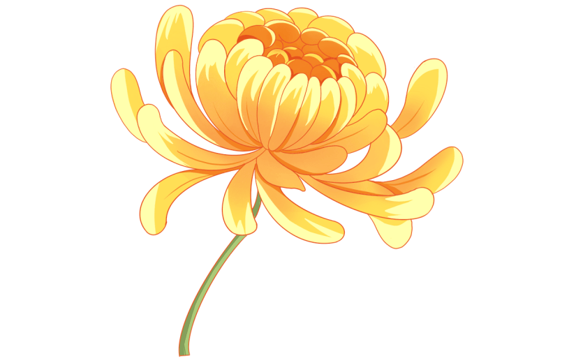 手绘菊花重阳节元素