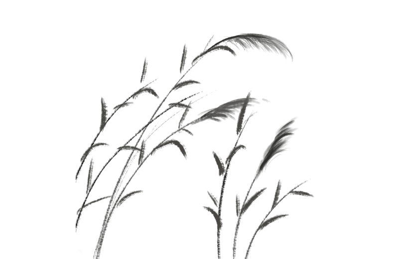 中国风水墨芦苇植物贴纸9