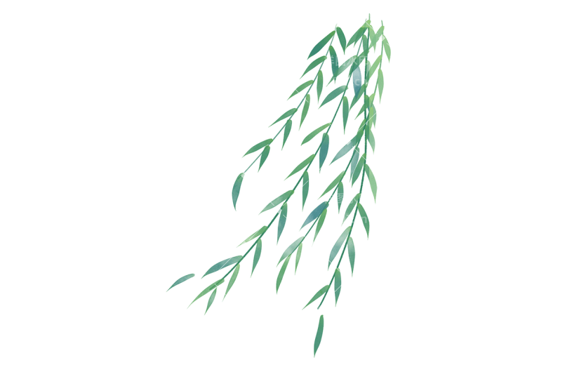 卡通感二十四节气春天柳叶元素贴纸