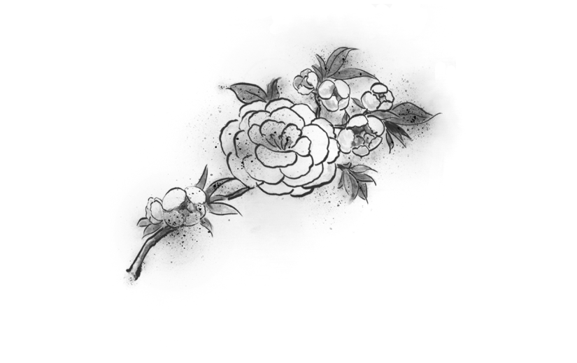 手绘-中国风水墨风植物贴纸-花朵