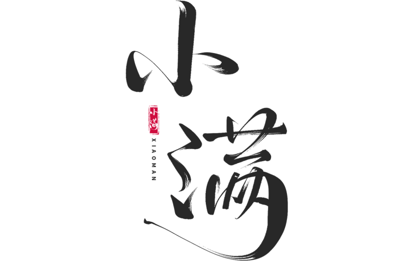 二十四节气小满通用印章组合小满文字标题艺术字元素素材