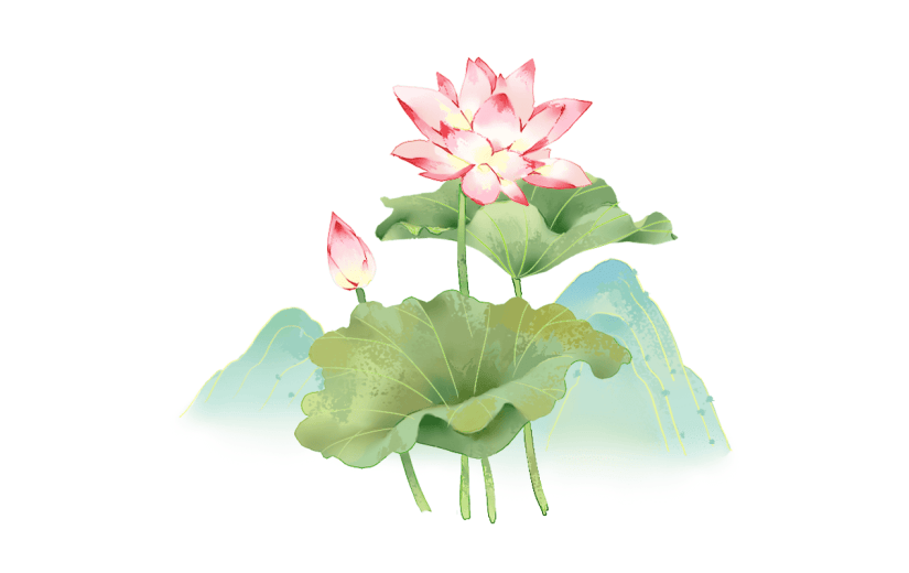 中秋节中秋插画花朵植物元素