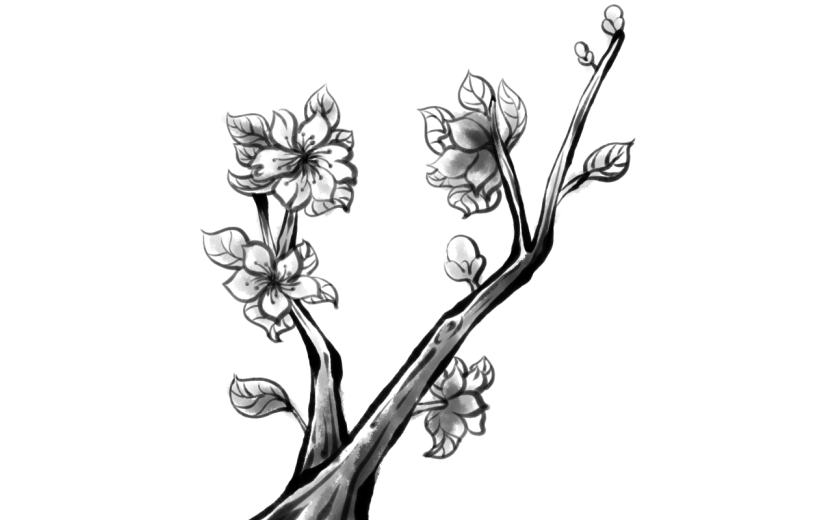 水墨风-桃花花枝贴纸元素