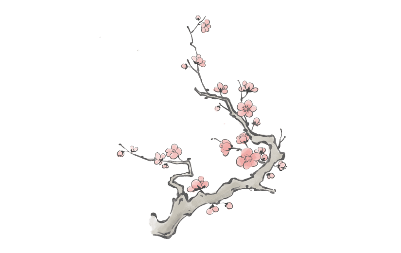 手绘中国风梅花古风植物元素