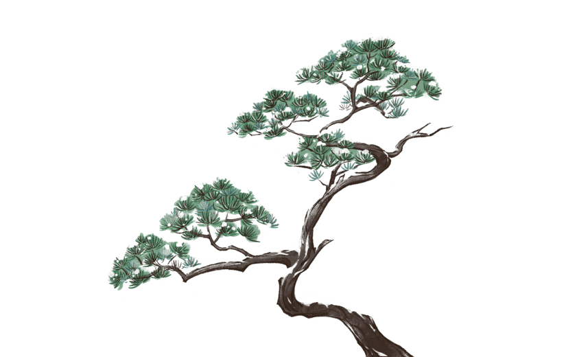 冬天冬季冬日积雪树枝植物元素