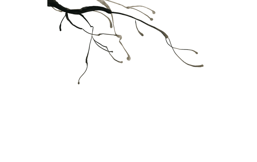 中国风-重阳节插画-树枝