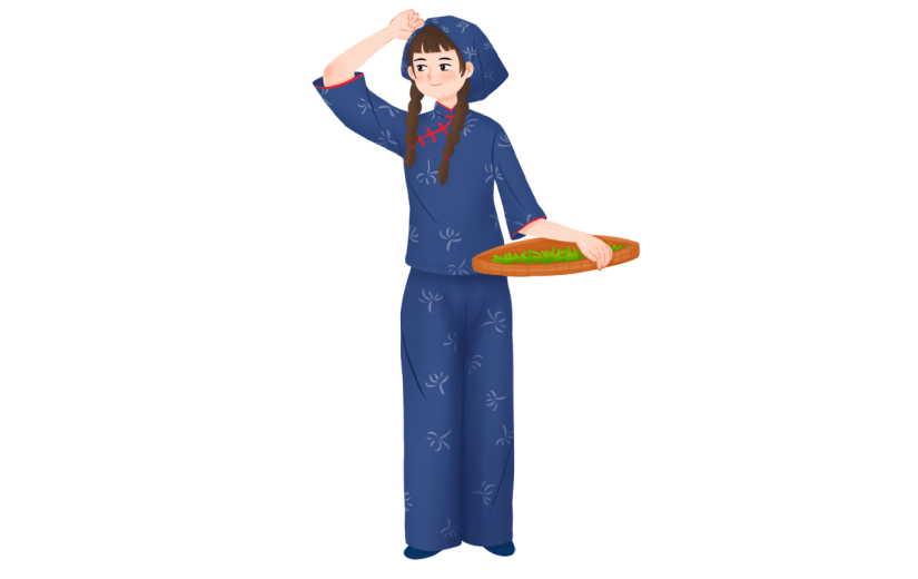 手绘采茶女人物插画8
