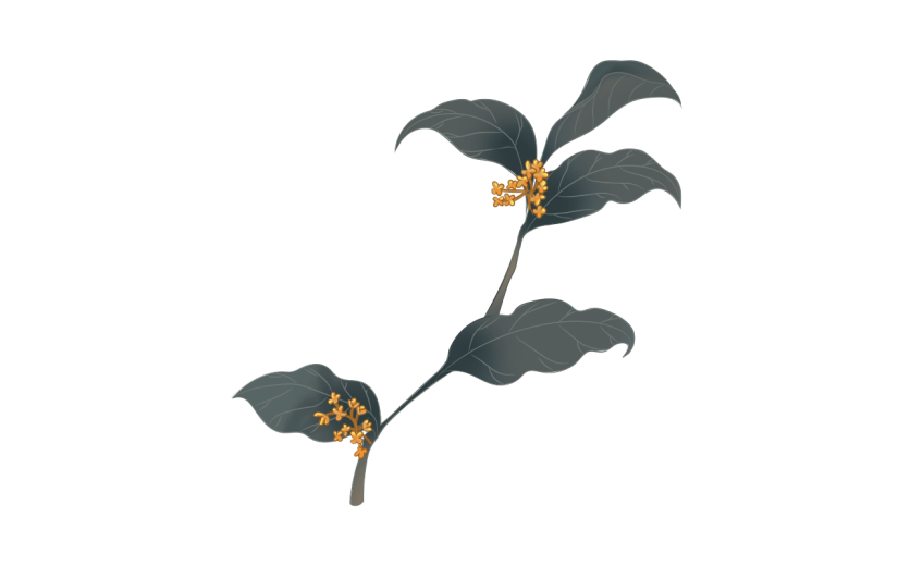 中国风桂花树枝元素贴纸