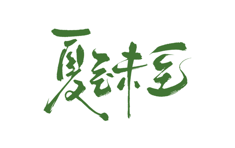 夏至传统节气通用元素绿色中国风毛笔字艺术字元素