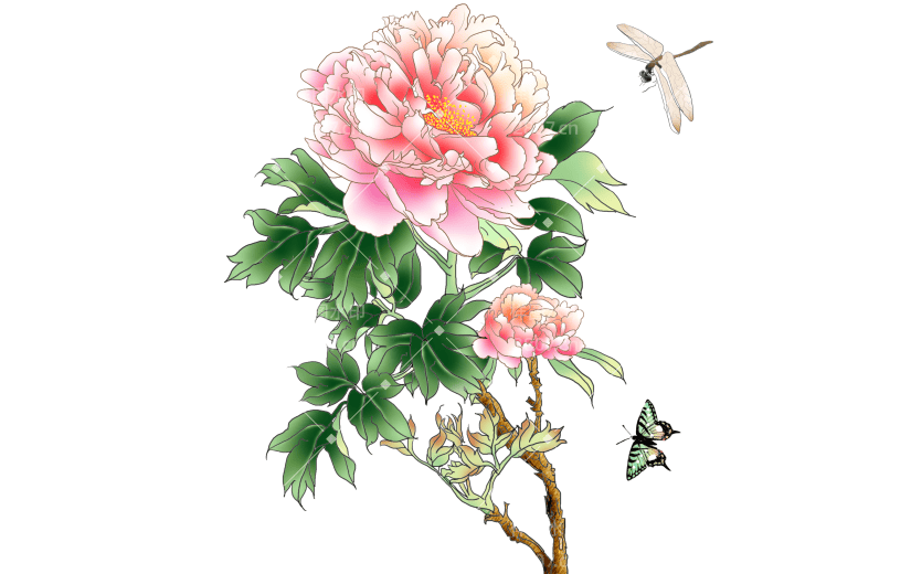中国风植物花卉贴纸-牡丹