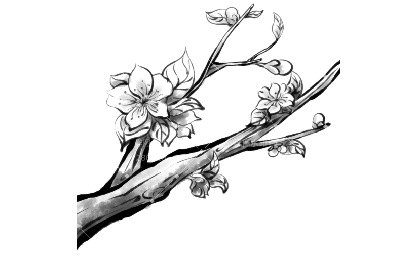 水墨风-桃花花枝贴纸元素