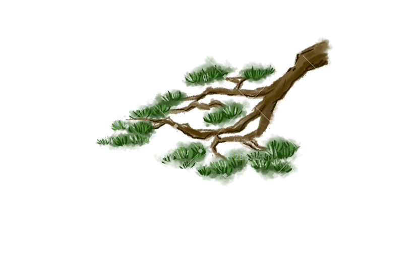 手绘-重阳节-水墨重阳节-青松