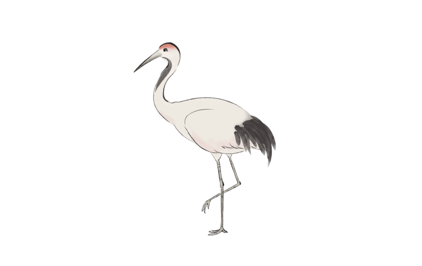 手绘中国风仙鹤古风动物