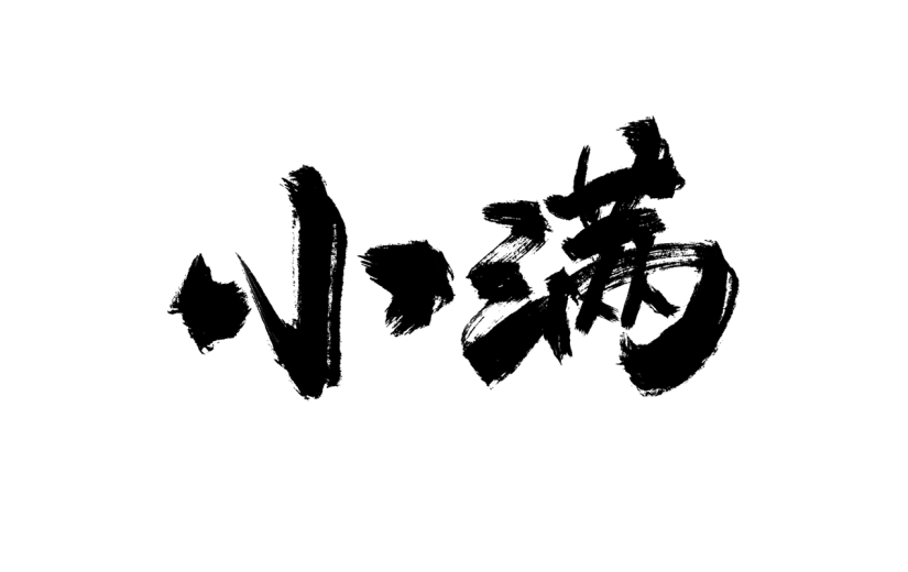二十四节气小满通用黑色中国风毛笔字文字标题艺术字元素素材