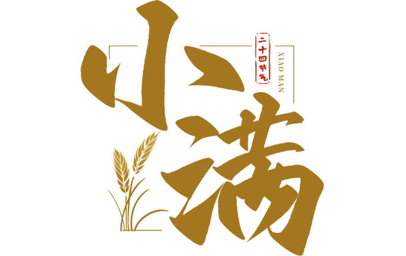 二十四节气小满通用中国风植物组合棕色小麦艺术字文字标题元素素材