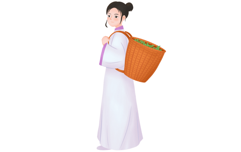 手绘采茶女人物插画7