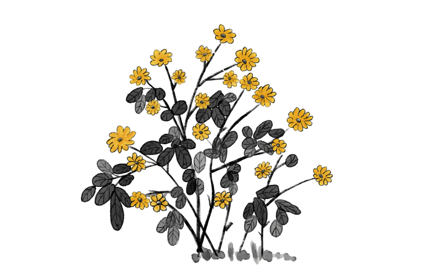 水墨风植物花卉贴纸-小黄花