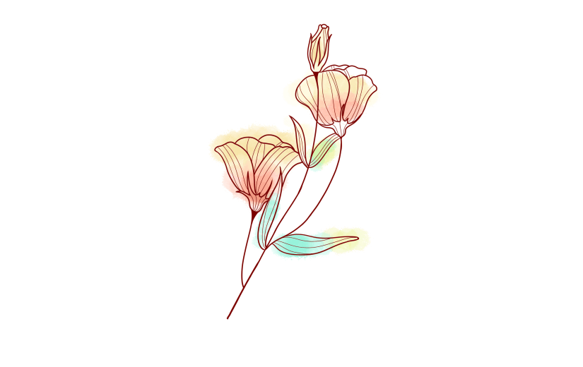 简约线条花朵插画元素