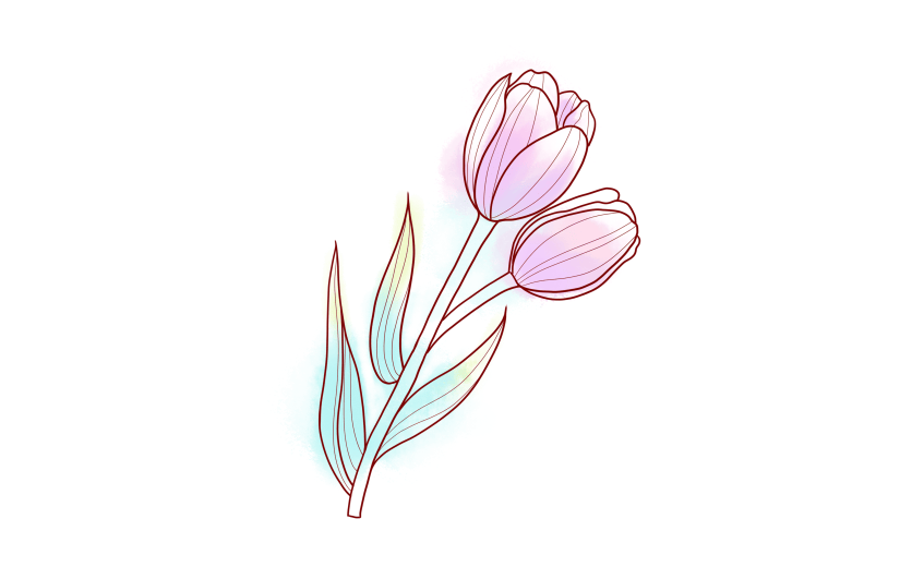 手绘线稿玫瑰花元素