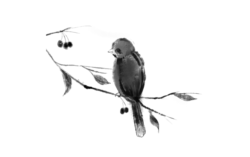 手绘-中国风水墨风动物贴纸-鸟