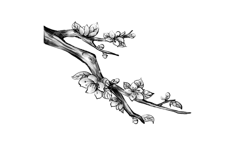 水墨风-桃花花枝贴纸元素