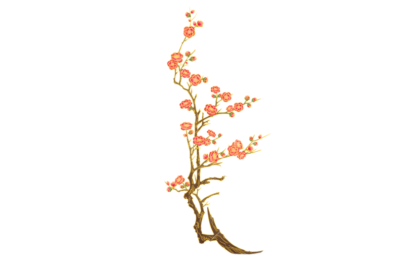 梅花
