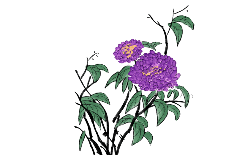 水墨风植物花卉贴纸-紫花