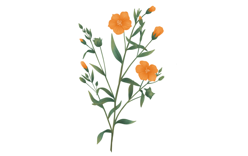 温馨黄色花卉手绘插画