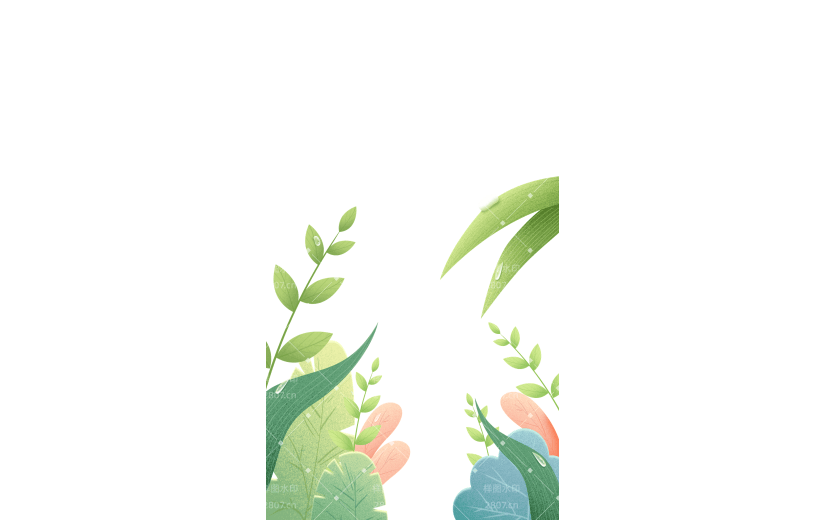 传统节气寒露植物边框