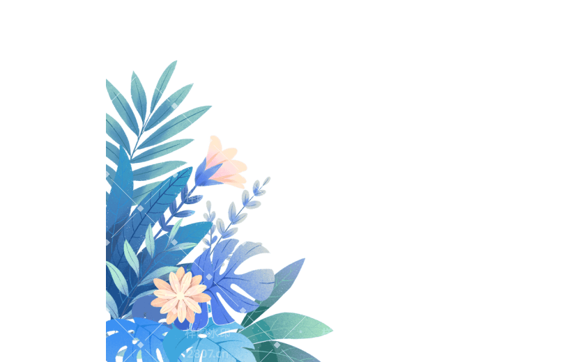 清新插画植物花朵花卉边框