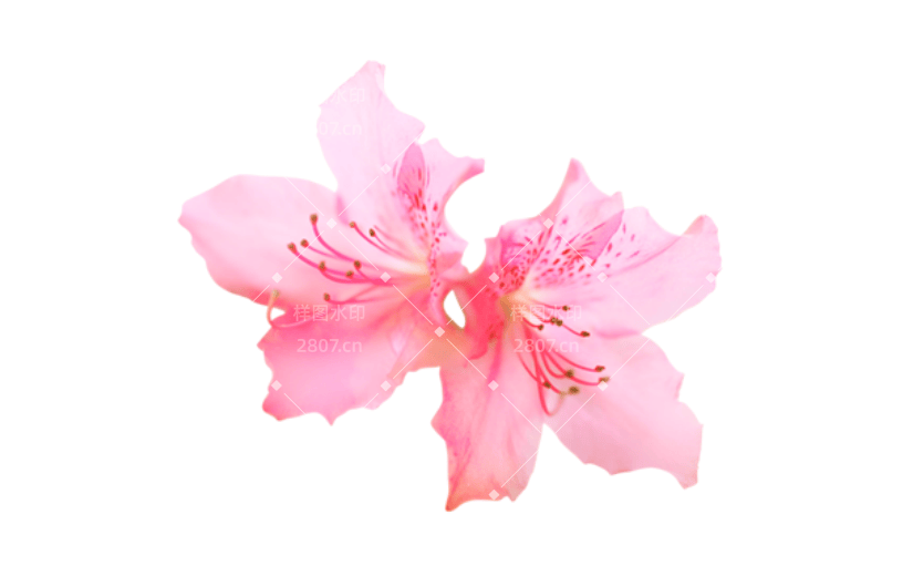 通用清明节手绘贴纸
