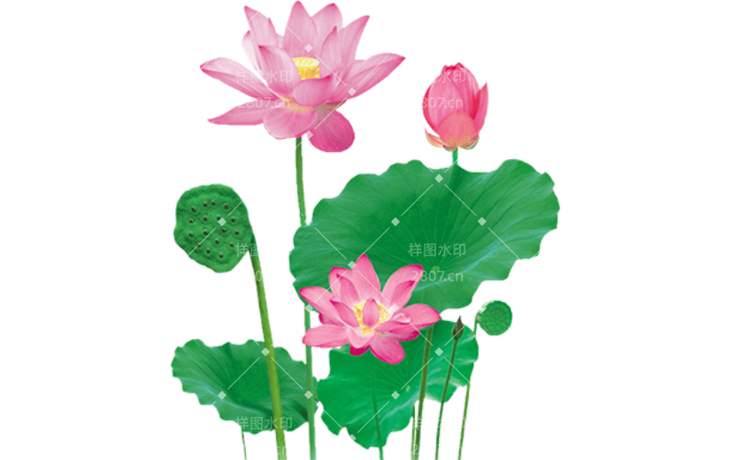 通用夏季手绘贴纸