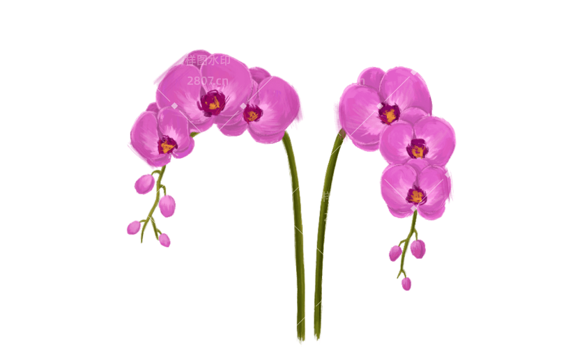 手绘蝴蝶兰油画元素