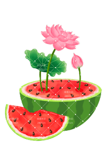 小清新卡通夏天夏季立夏西瓜荷花手绘元素插