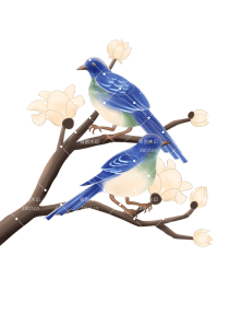 节日元素喜鹊手绘插画元素