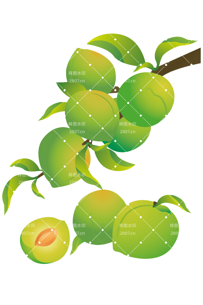 青梅成熟芒种节气元素