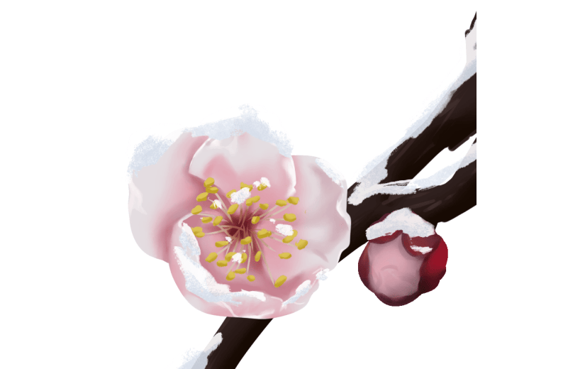 粉色桃花花枝小寒元素创意贴纸