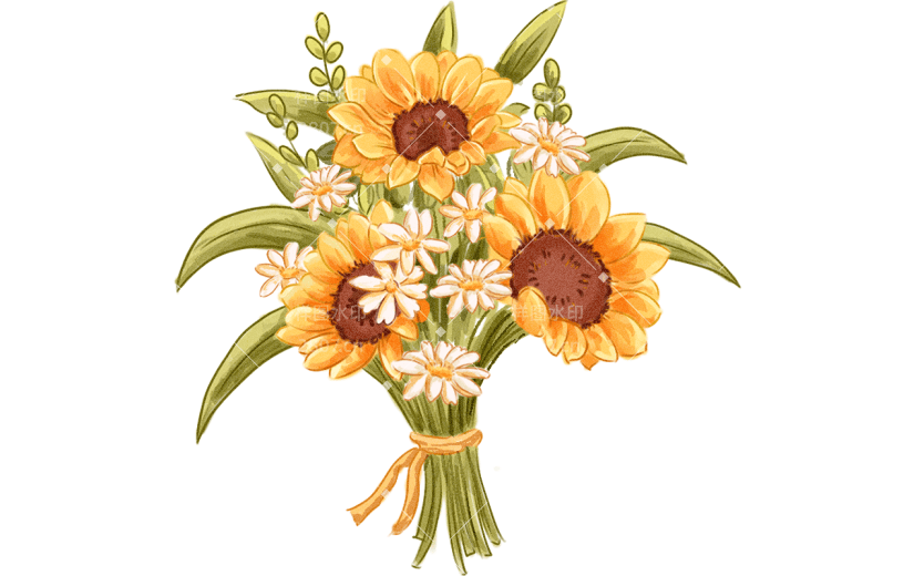 植物通用插画向日葵花朵元素素材