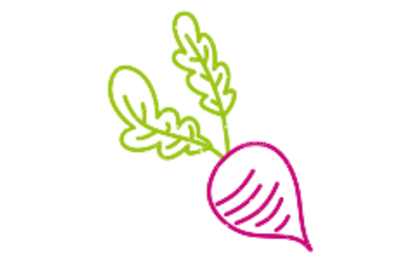 甜菜动态贴纸