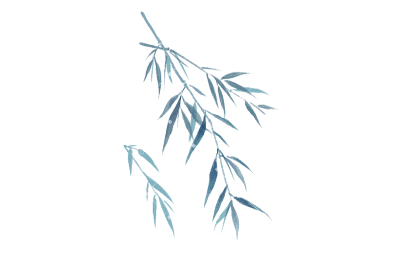 传统节日寒露柳叶元素