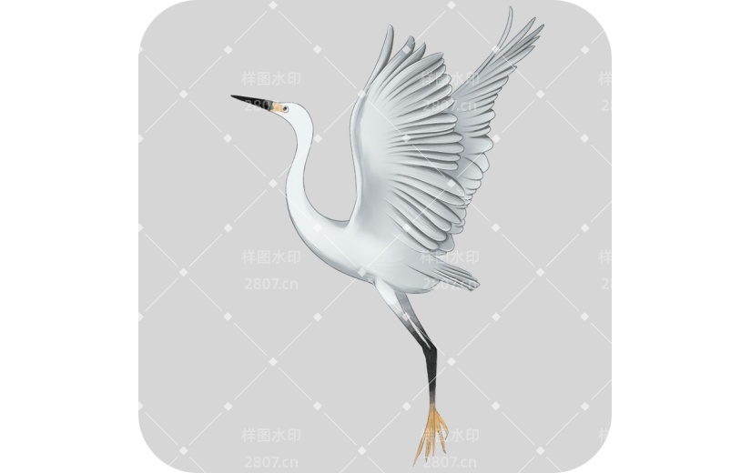 传统节气白鹭白鹭元素素材