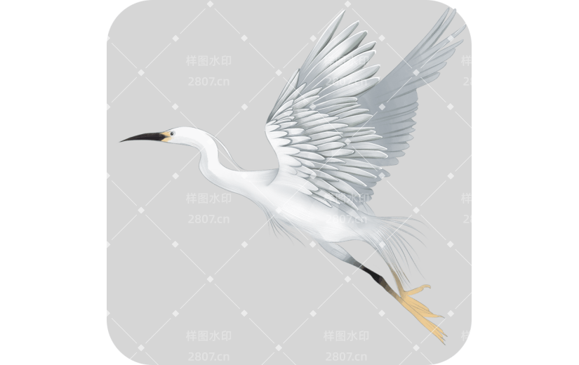 传统节气白鹭白鹭元素素材